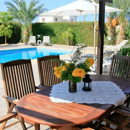 Themis Paphos